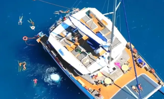 Location Maxi Catamaran événementiel LDP Events Production , Saint-Raphaël, LDP Events Production